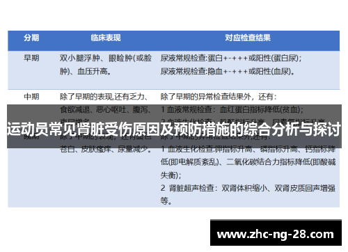 运动员常见肾脏受伤原因及预防措施的综合分析与探讨